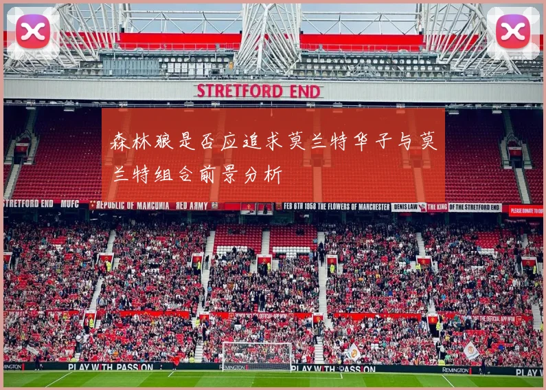 森林狼是否应追求莫兰特华子与莫兰特组合前景分析