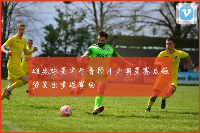 雄鹿球星字母哥预计全明星赛后强势复出重返赛场